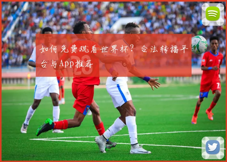 如何免费观看世界杯？合法转播平台与App推荐